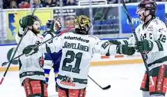 Starbulls fighten sich auf Platz zwei