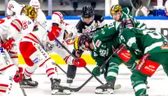 Ein Vorsilvester-Kracher mit den Starbulls
