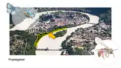 Lebensraum für Wildbienen am Inndamm?