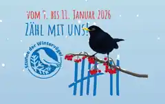 „Stunde der Wintervögel“