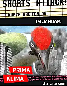 Schau auf die Welt