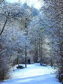 Geselliger Auftakt in Wasserburger Winteridylle