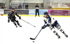 Lustlose Löwen