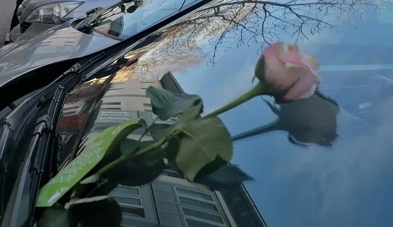 Rosen statt Verwarnungen