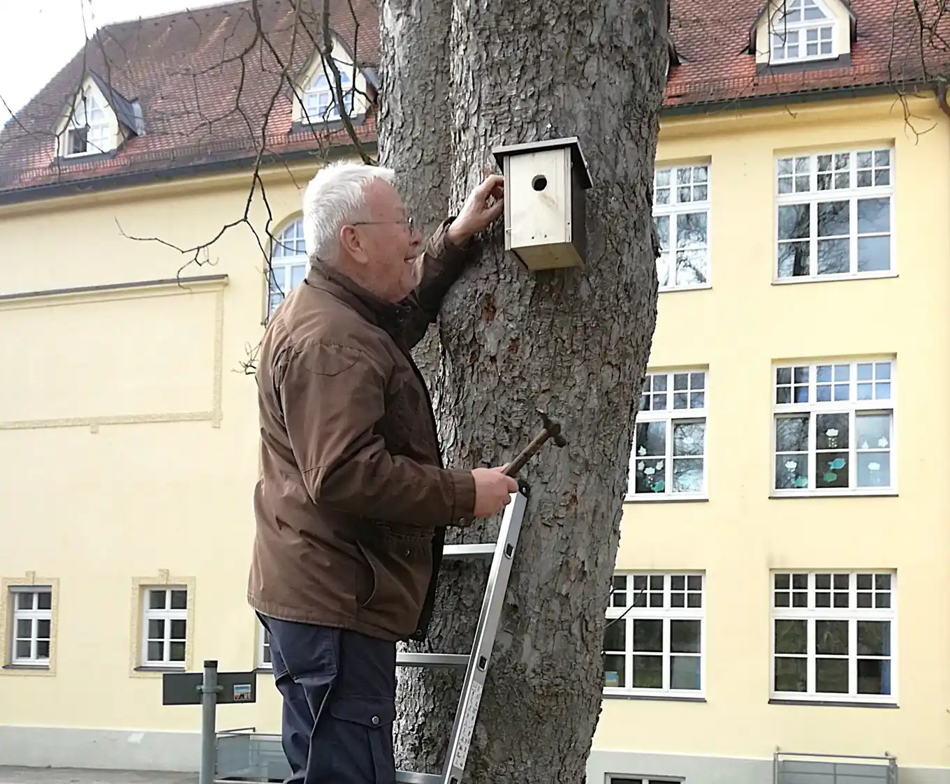 Kinder, macht mit: Nistkästen am Inndamm säubern