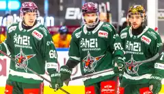 Nicht auf die Tabelle schauen, Starbulls