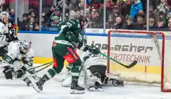 Heimspiel-Kracher zum DEL2-Auftakt