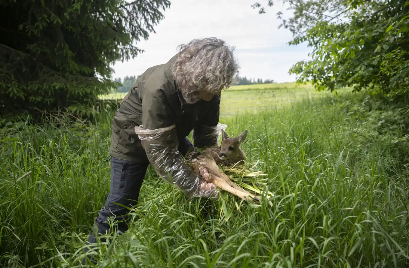 Zum Schutz der Wildtiere