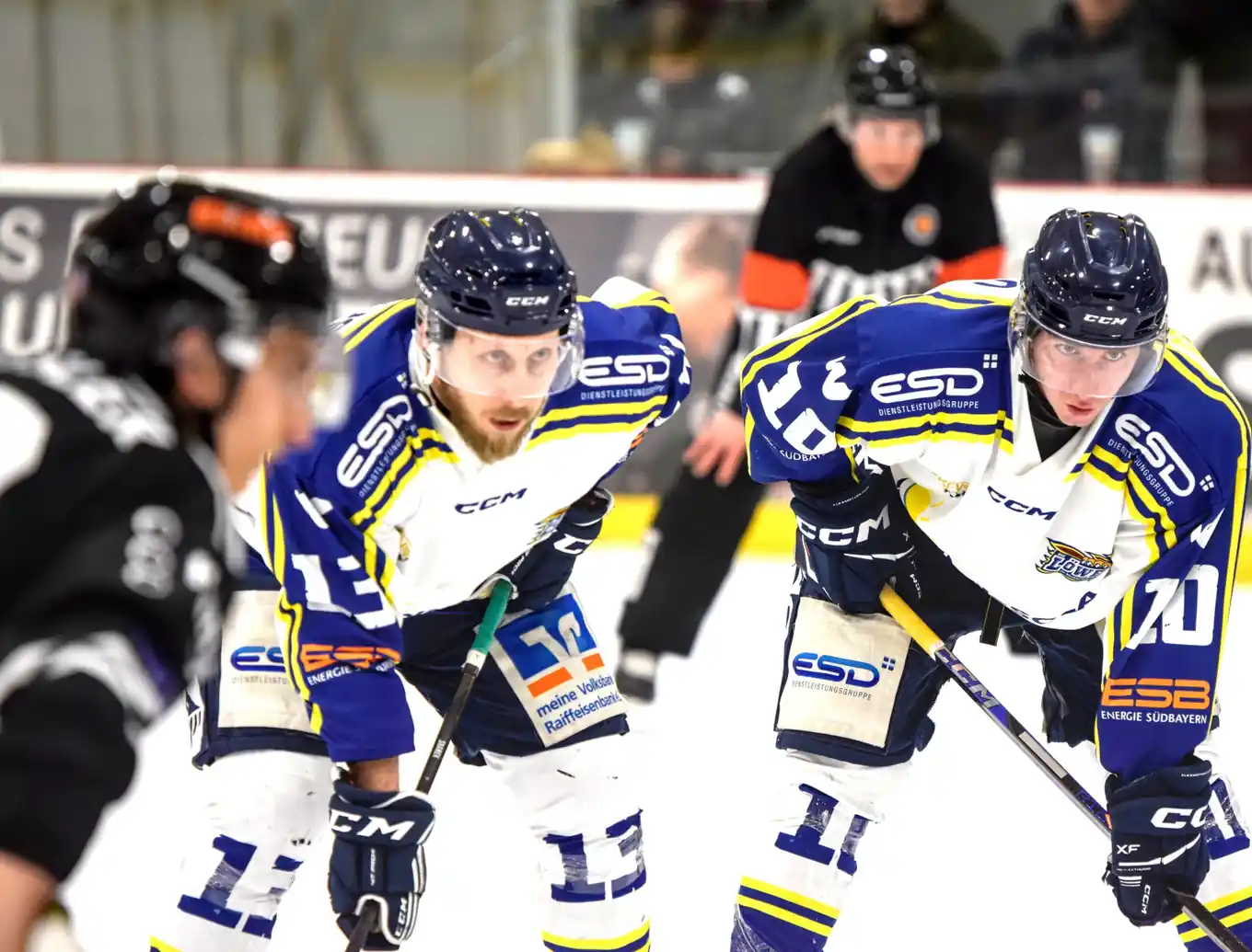 EHC auf dem Weg ins bittere Finale?