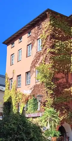 Warum in die Ferne schweifen …