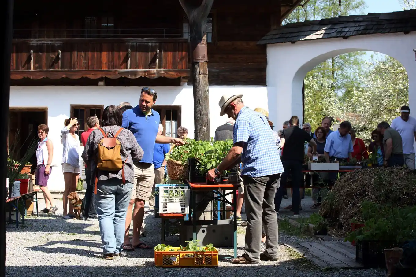 „Querbeet“ durch den heimischen Garten
