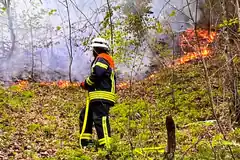 Böschung an der Alz in Flammen