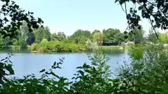 Der Hofstätter See ist das Ziel