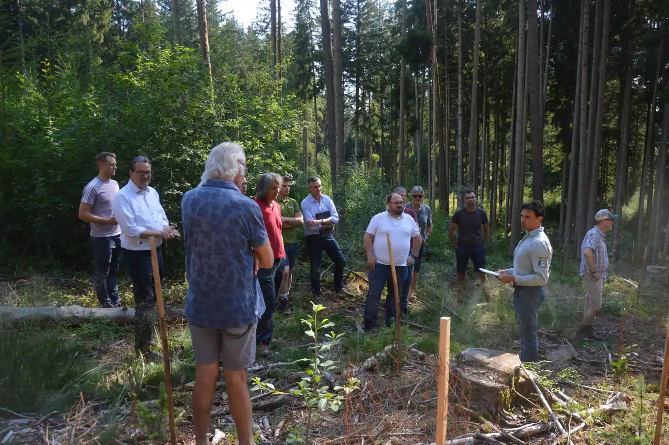 Zu Besuch beim Förster