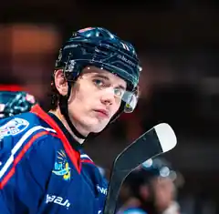 Transfer-Coup: Nationalspieler verstärkt den EHC