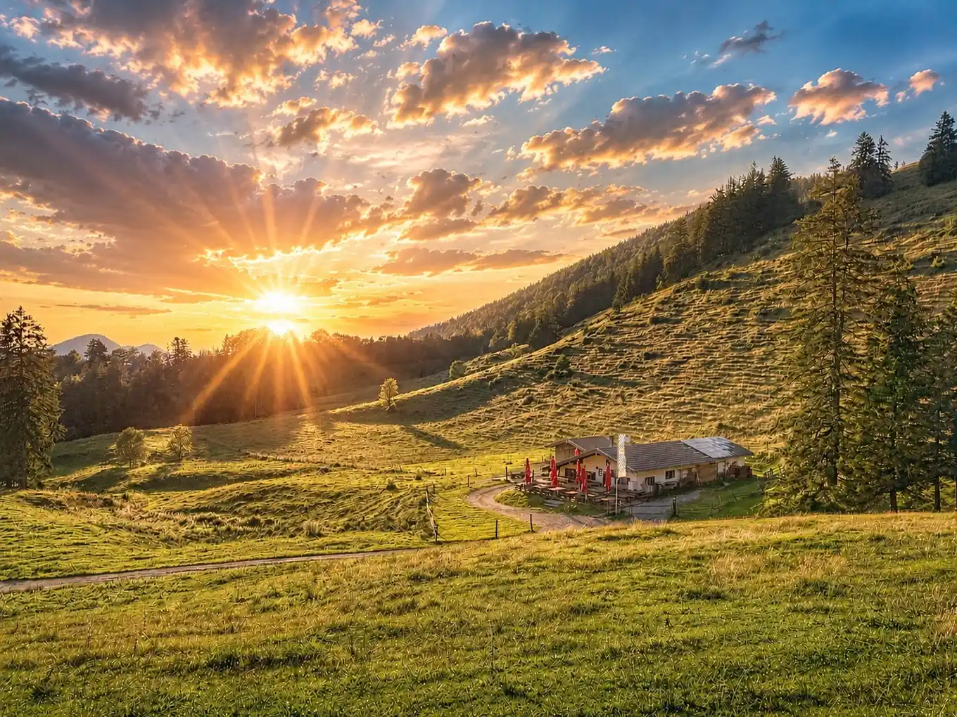 Ein Natur-Kunstwerk im Abendlicht