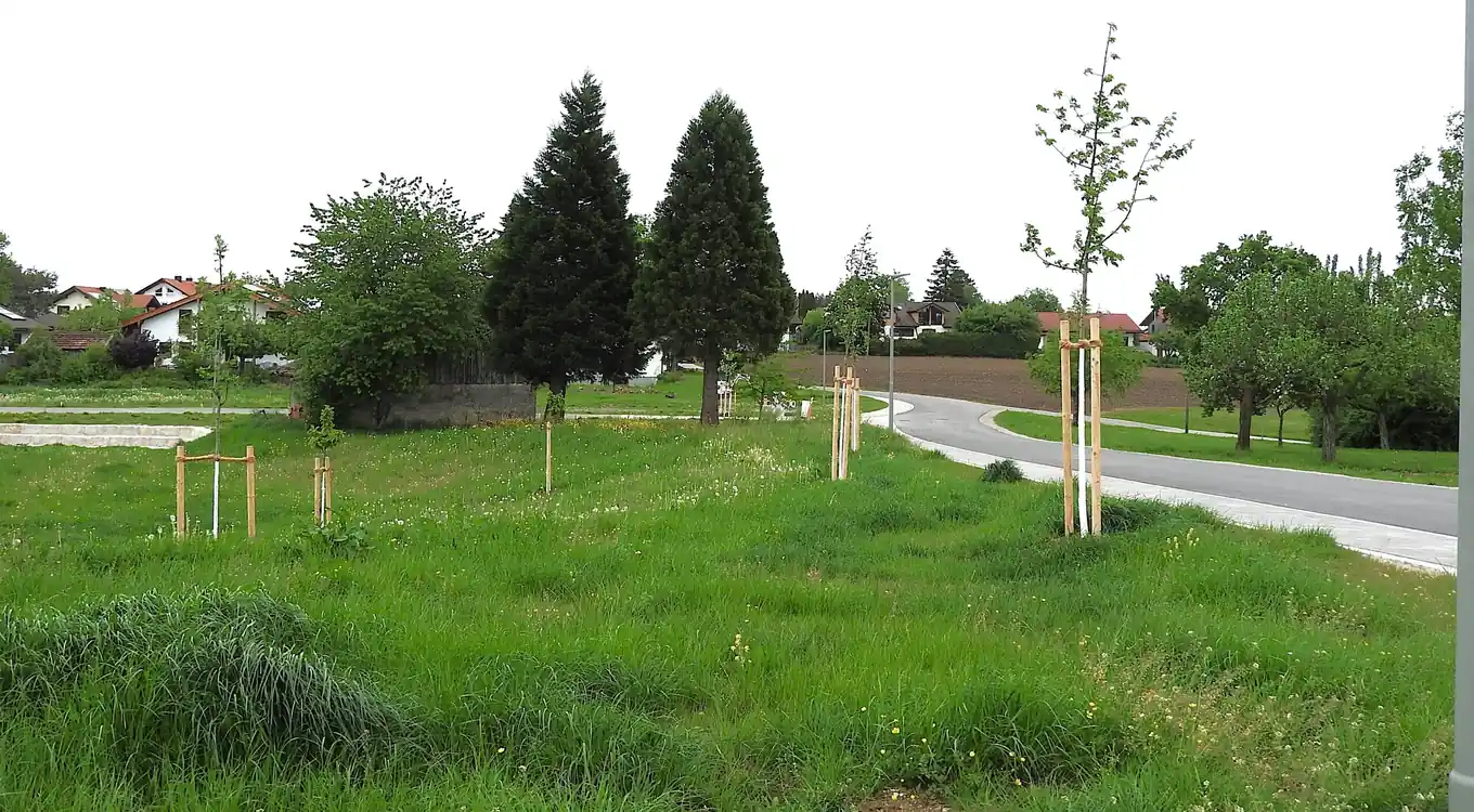 Tröpfchen für Tröpfchen im Baugebiet bei Werfling