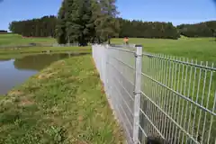 Zehn Jahre Fischotter-Management