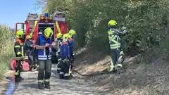 Böschung brannte – Feuerwehr im Einsatz