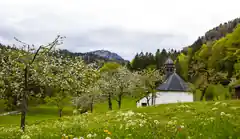 Nächste Wanderung des Kneipp-Vereins
