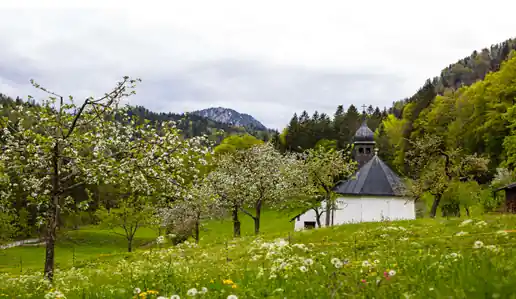 Nächste Wanderung des Kneipp-Vereins