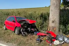Mit Pkw frontal gegen einen Baum