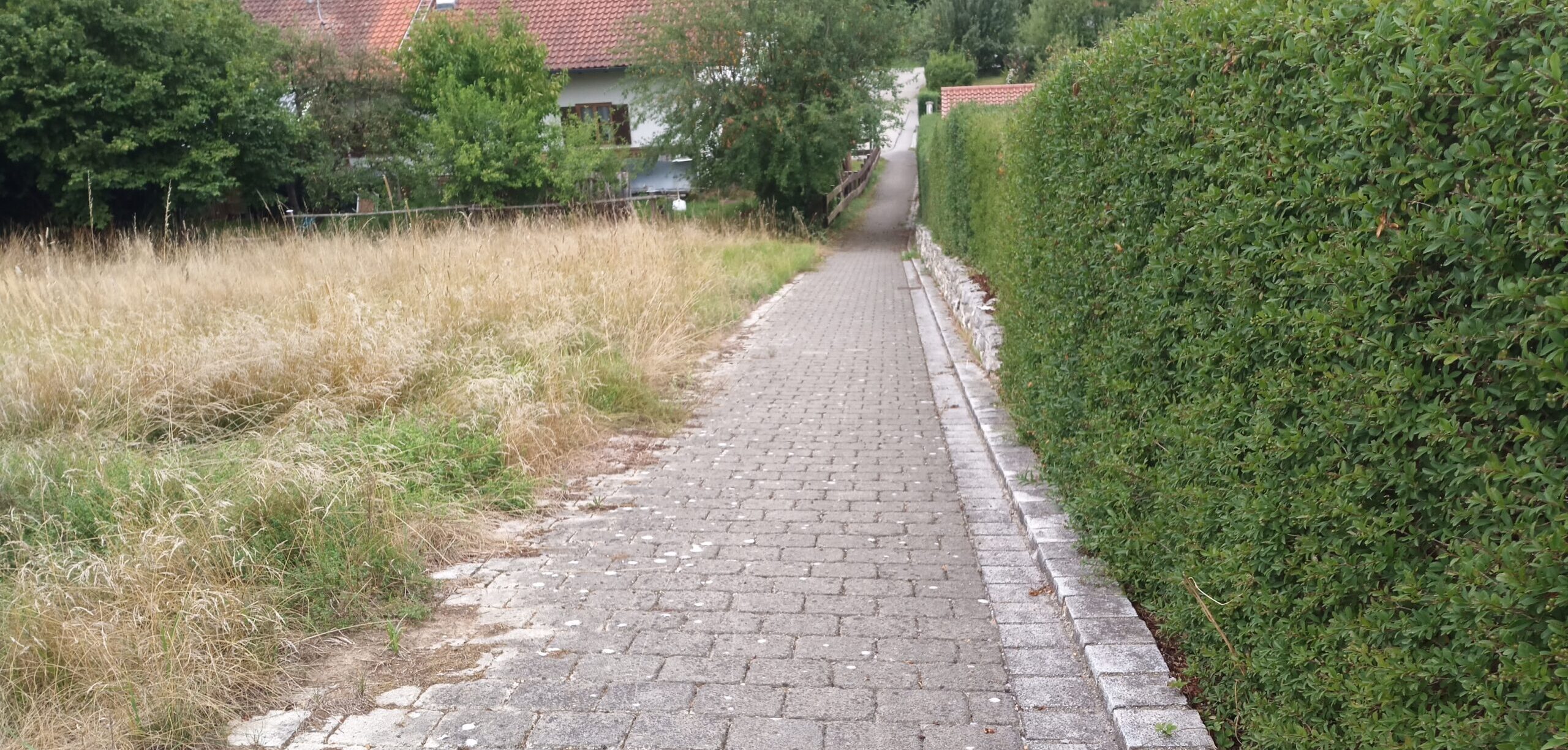 Freie Sicht für alle