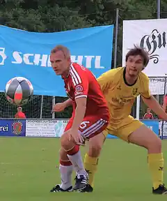 Der FC Bayern, der Stern des Südens und Edling