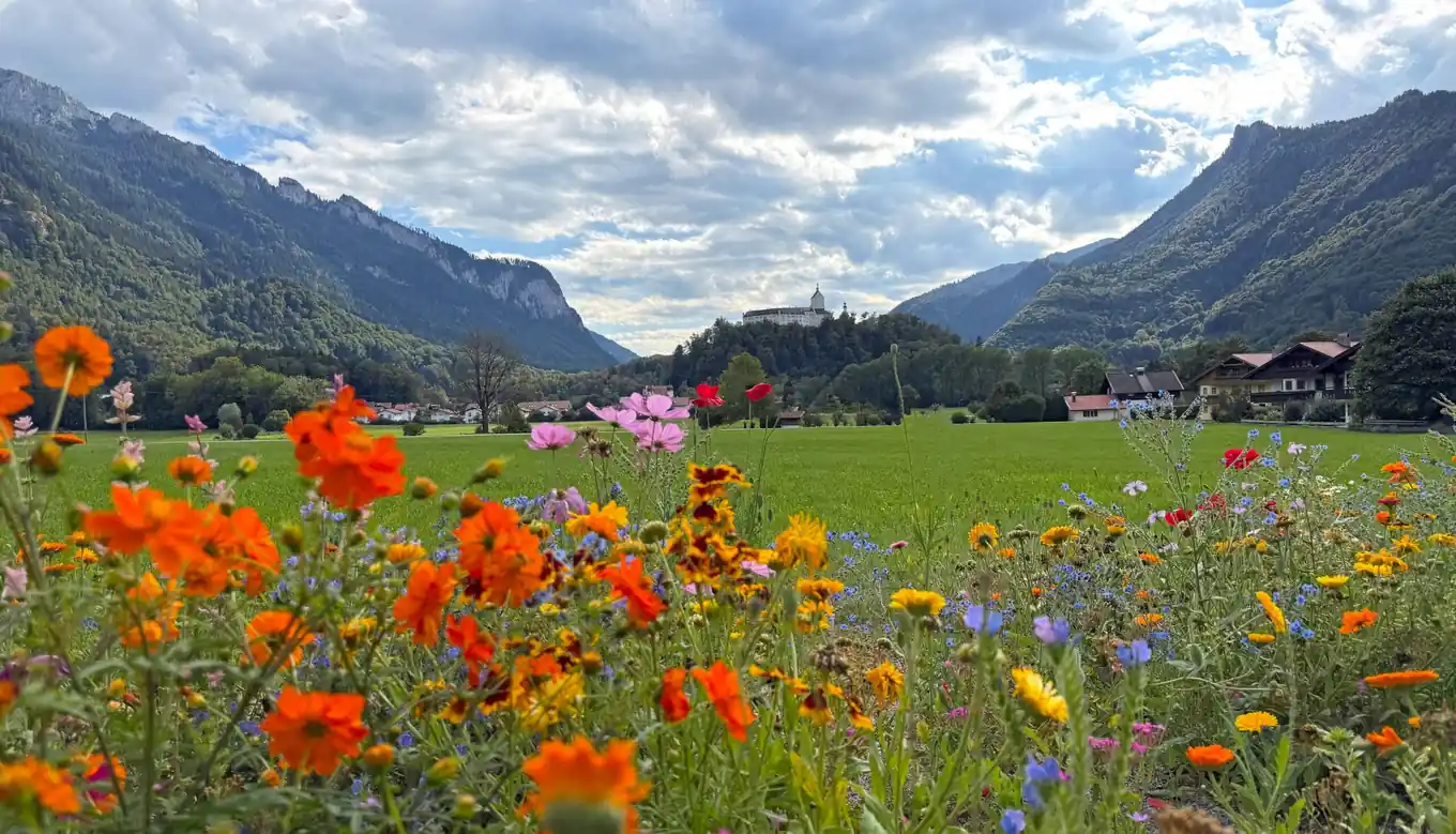 Der Herbst grüßt