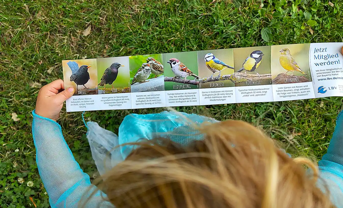 Hier zwitschert’s jetzt ganz offiziell besonders schön