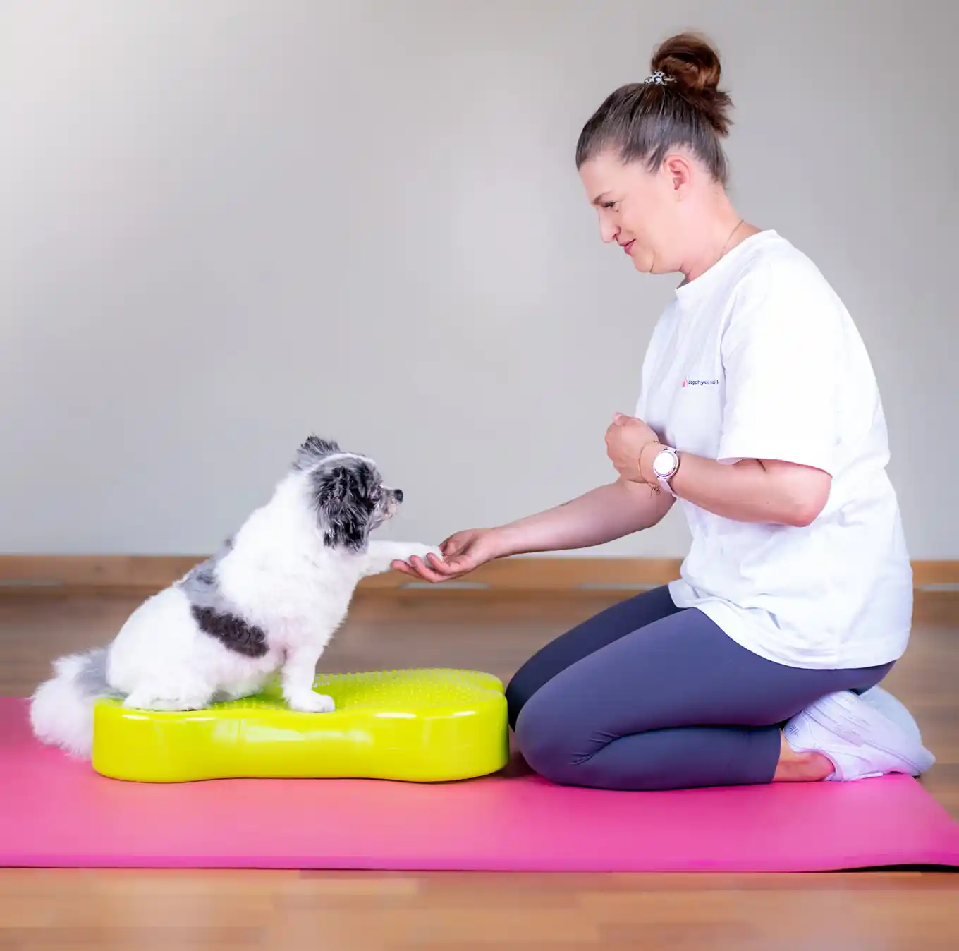 Gesundheit für den Hund: „dogphysio mobil”