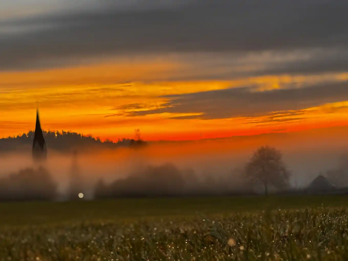 Herbstmorgen im Nebel